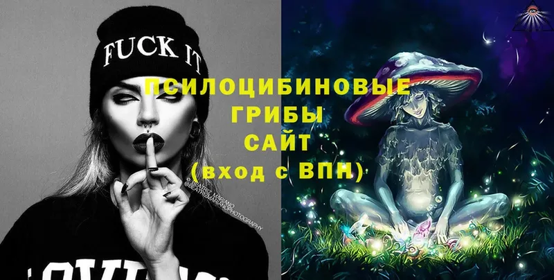 Галлюциногенные грибы Magic Shrooms  OMG ТОР  Западная Двина 